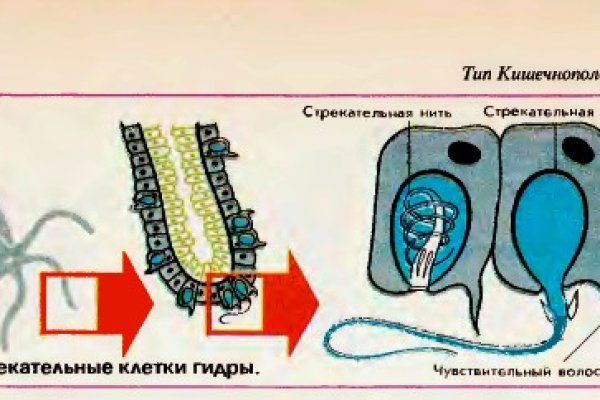 Как восстановить аккаунт в кракен