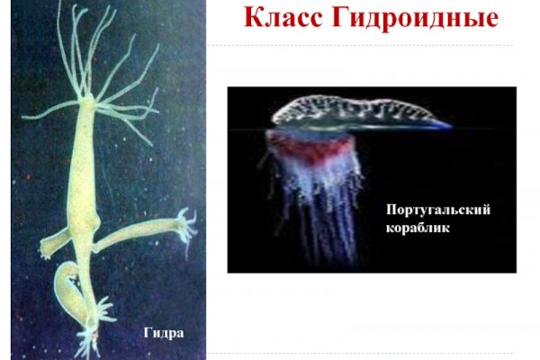 Кракен krk store com