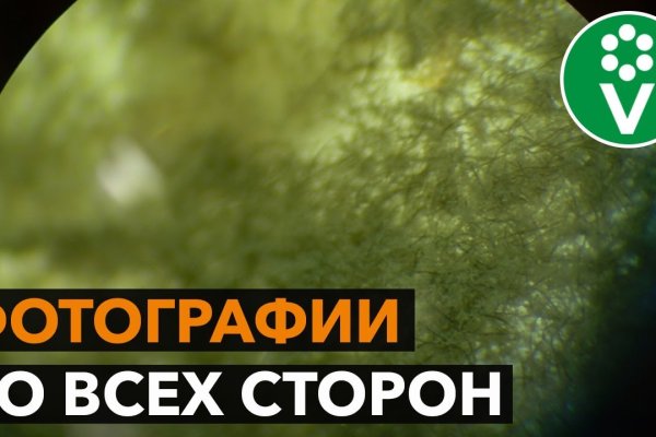 Пользователь не найден kraken