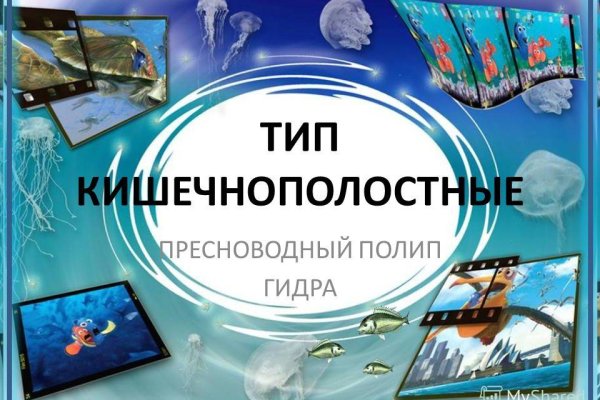 Рабочая ссылка кракен в тор